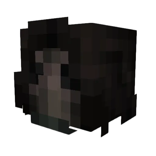 Turboschleu Minecraft avatar head, 3D render