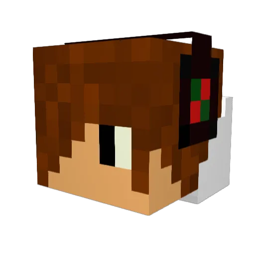Turbotimpe Minecraft avatar head, 3D render