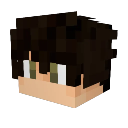 Turbowl Minecraft avatar head, 3D render