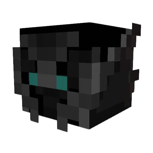 Turd_Ferguson777 Minecraft avatar head, 3D render