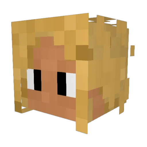 Turdnugget6432 Minecraft avatar head, 3D render