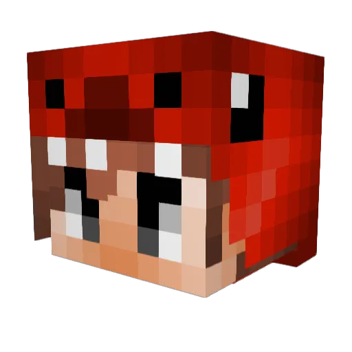 Turdnugget Minecraft avatar head, 3D render