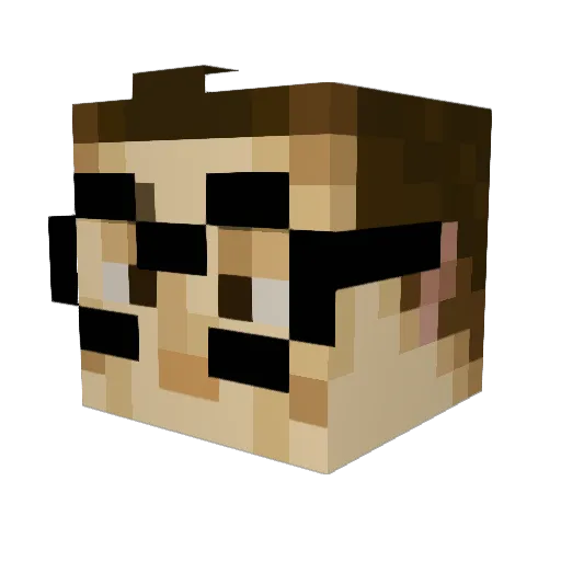 Turdus Minecraft avatar head, 3D render