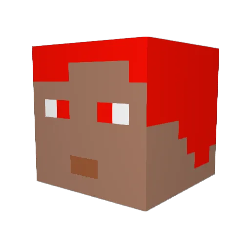TurgayT3 Minecraft avatar head, 3D render