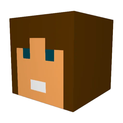 Turin9257 Minecraft avatar head, 3D render
