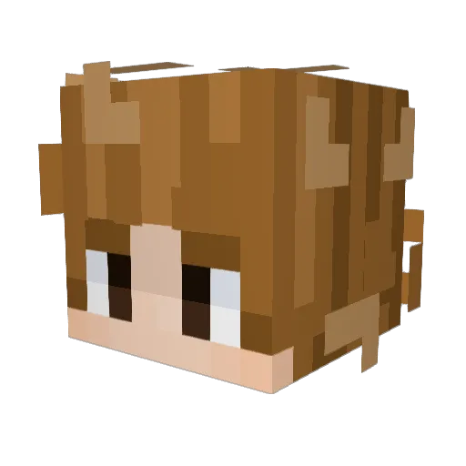 Turion11 Minecraft avatar head, 3D render