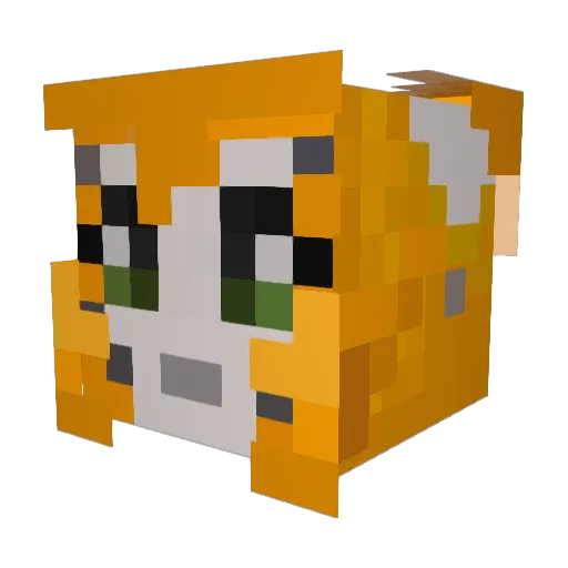 Turk1371 Minecraft avatar head, 3D render