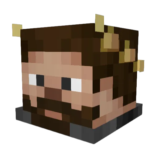 TurkTheTurkey Minecraft avatar head, 3D render