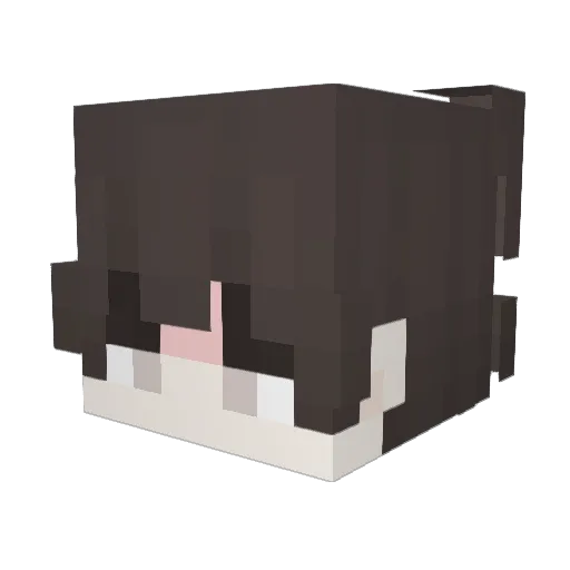 TurkeX07 Minecraft avatar head, 3D render