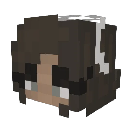 TurkeyBowl9 Minecraft avatar head, 3D render
