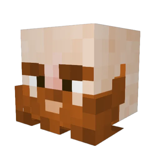 TurkeyFeet2 Minecraft avatar head, 3D render