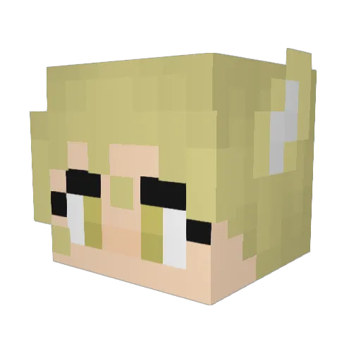 TurkeyMeatt Minecraft avatar head, 3D render