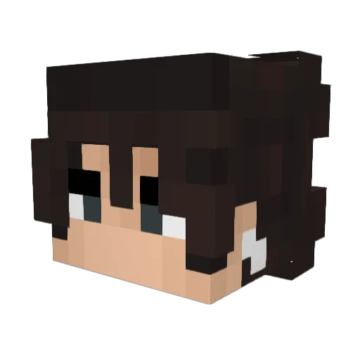 TurkeyPepe Minecraft avatar head, 3D render