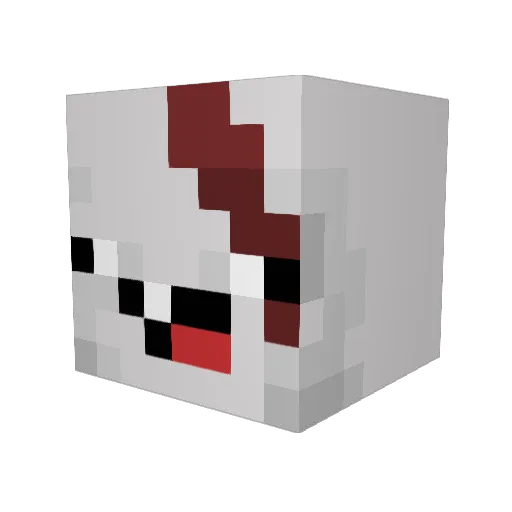 Turkey_Mason Minecraft avatar head, 3D render