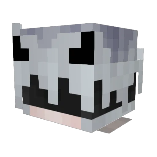 Turkeylegs64 Minecraft avatar head, 3D render