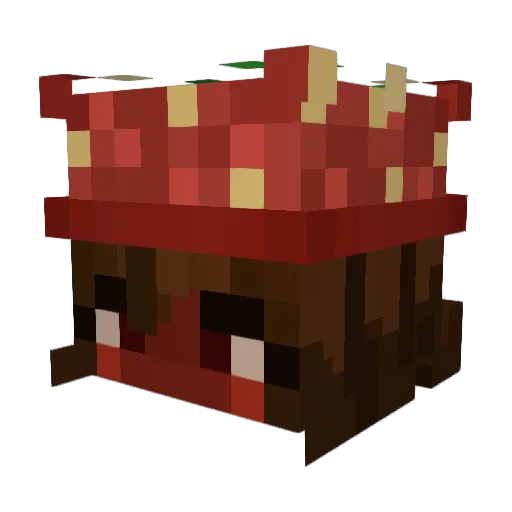 Turkeysammich4l Minecraft avatar head, 3D render