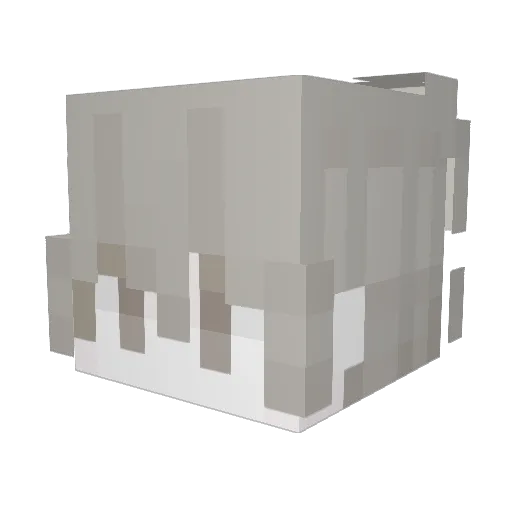TurkishTBotter Minecraft avatar head, 3D render