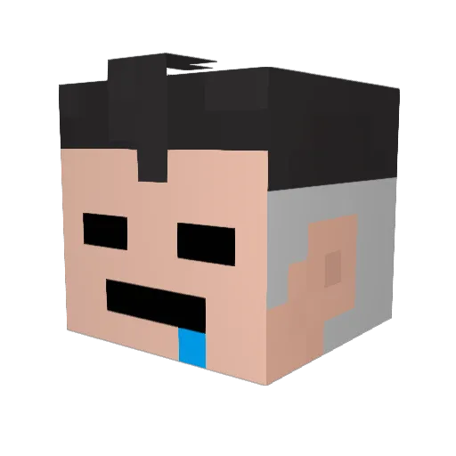 Turkiyeleader Minecraft avatar head, 3D render