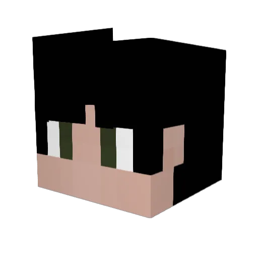 Turlock Minecraft avatar head, 3D render