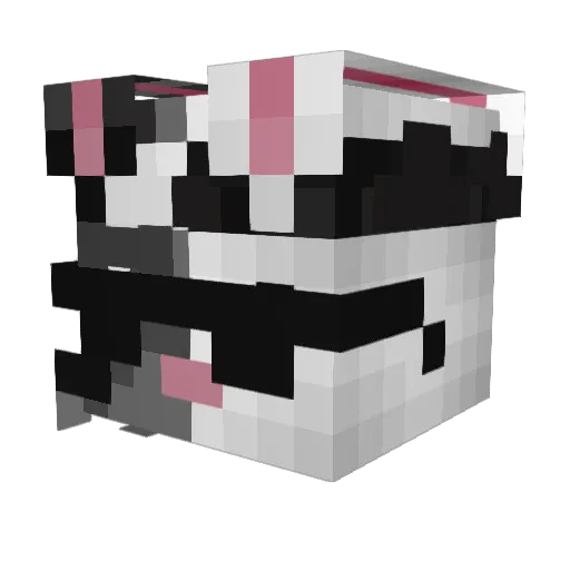 Turmeltunut Minecraft avatar head, 3D render