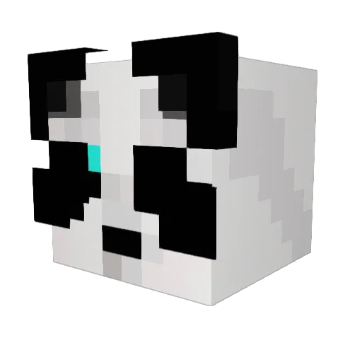 Turmfalke17 Minecraft avatar head, 3D render