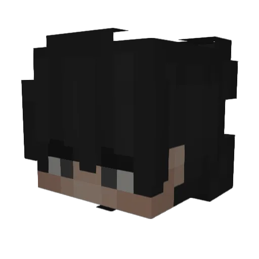 TurnZz_ Minecraft avatar head, 3D render