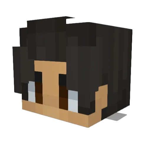 Turner26 Minecraft avatar head, 3D render