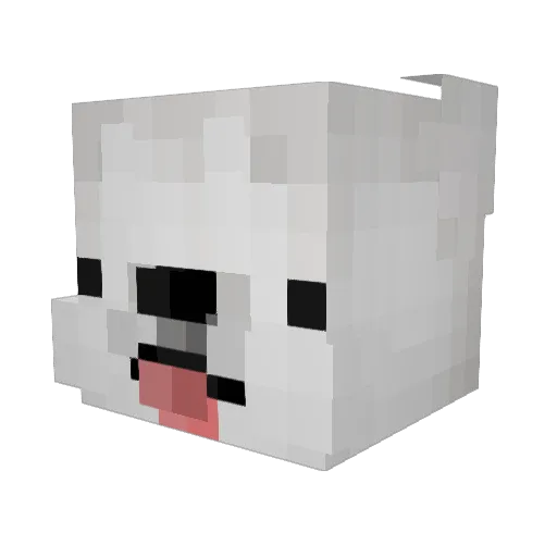 TurnerTimmy Minecraft avatar head, 3D render