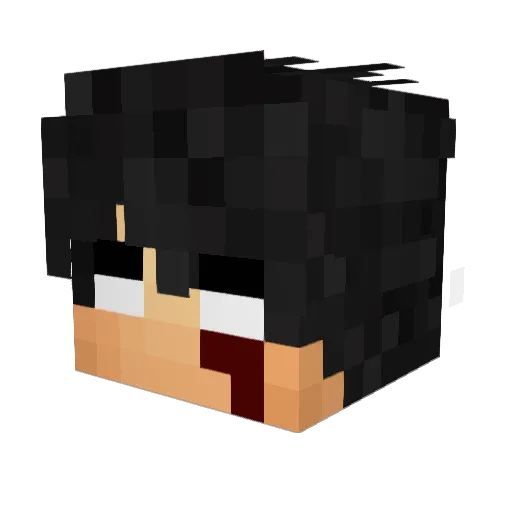 TurneyPvP Minecraft avatar head, 3D render