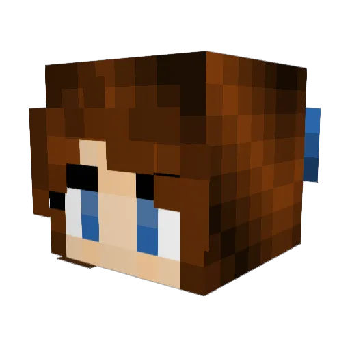 Turnfloh21 Minecraft avatar head, 3D render