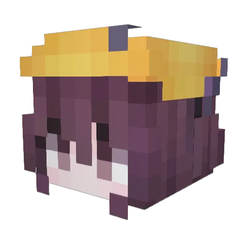 TurningRain8819 Minecraft avatar head, 3D render