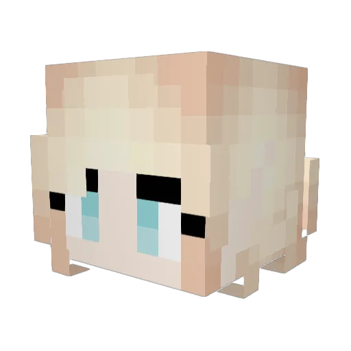 Turniph3ad Minecraft avatar head, 3D render