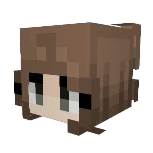 Turnschuh_ Minecraft avatar head, 3D render
