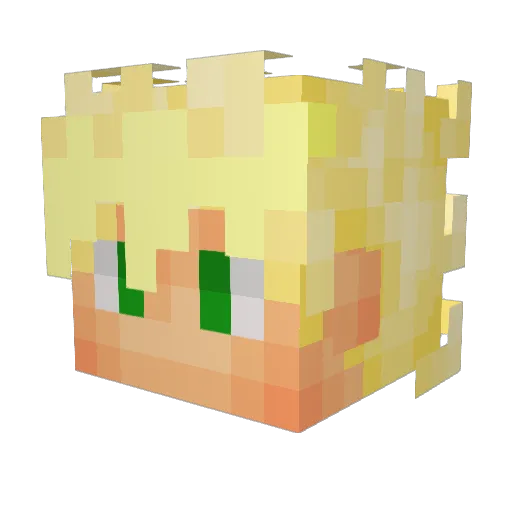 Turok080408 Minecraft avatar head, 3D render