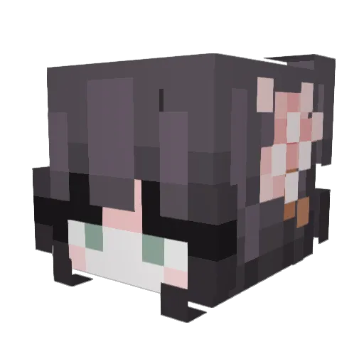 TurquoisePowerZ Minecraft avatar head, 3D render