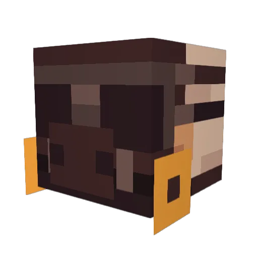 Turquoiseguy Minecraft avatar head, 3D render