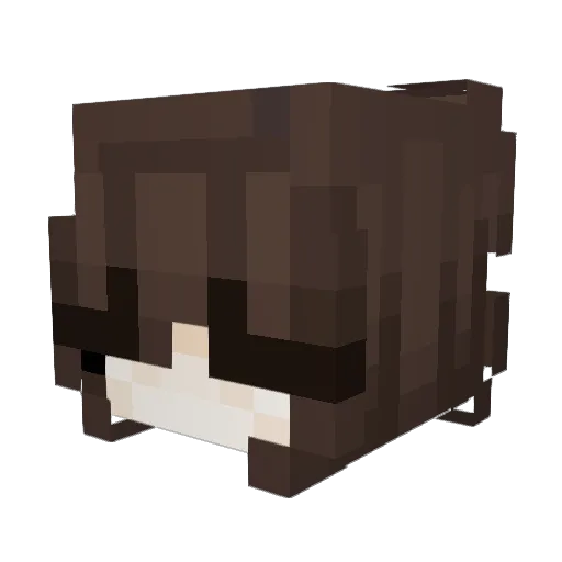 Turshyl Minecraft avatar head, 3D render