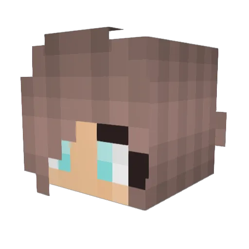 TurtGaming831 Minecraft avatar head, 3D render