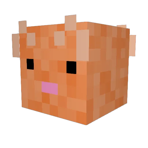 Turtaaaa Minecraft avatar head, 3D render