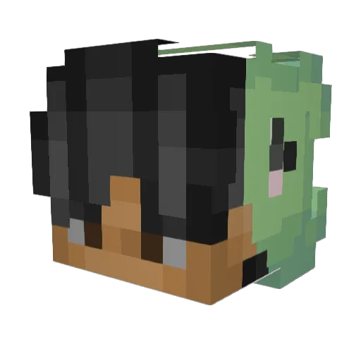 Turtilz Minecraft avatar head, 3D render