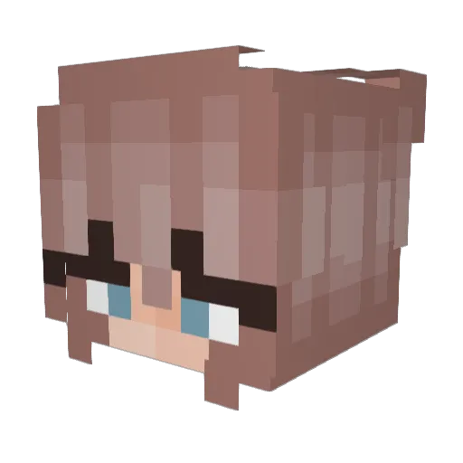 Turtl3verse Minecraft avatar head, 3D render