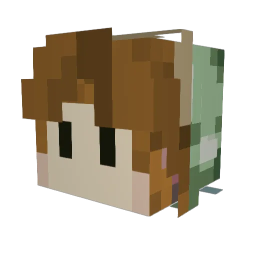 TurtlConnoisseur Minecraft avatar head, 3D render