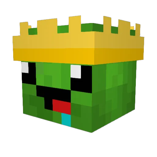 Turtle0601 Minecraft avatar head, 3D render