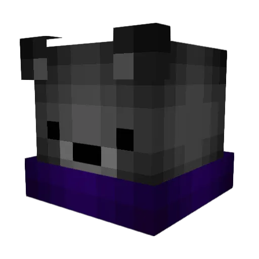 Turtle0_0Thief Minecraft avatar head, 3D render