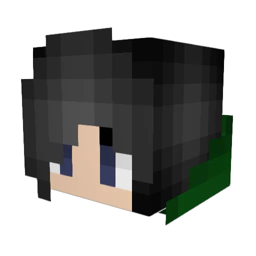 Turtle1104 Minecraft avatar head, 3D render