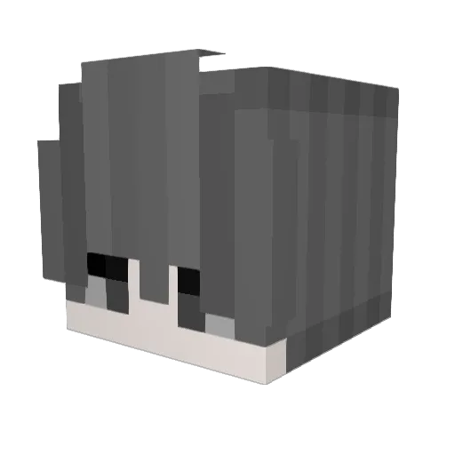 Turtle1112 Minecraft avatar head, 3D render