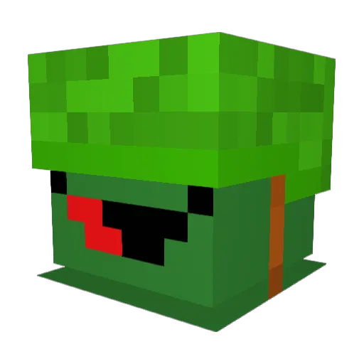 Turtle2499 Minecraft avatar head, 3D render
