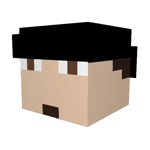 Turtle305 Minecraft avatar head, 3D render
