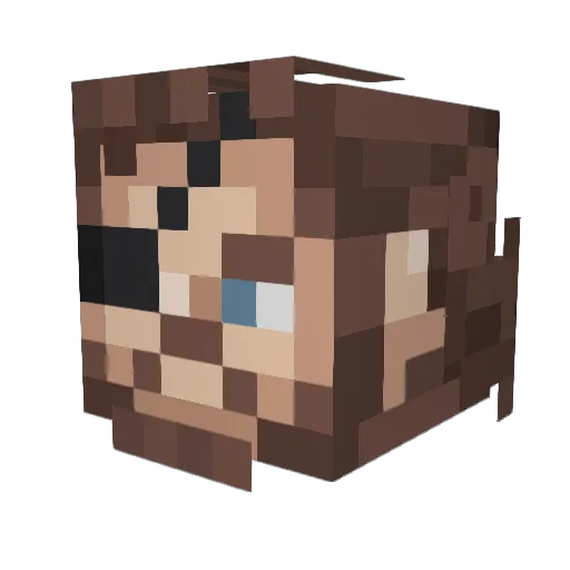 Turtle3673 Minecraft avatar head, 3D render