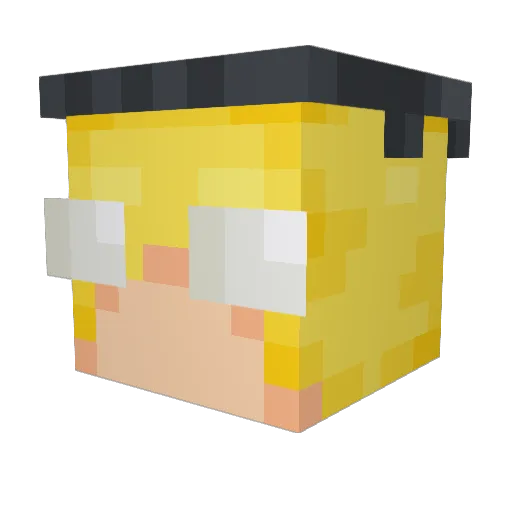 Turtle592 Minecraft avatar head, 3D render